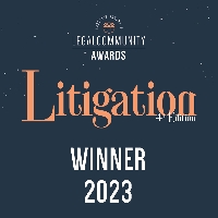 Winner Profilo_Litigation